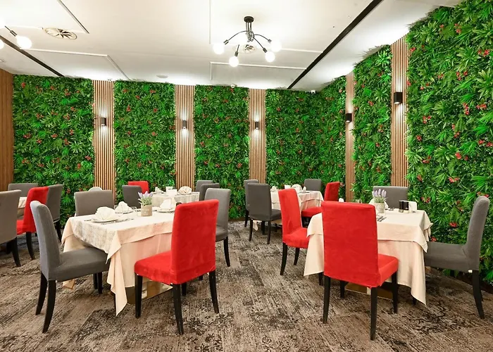 그랜드 벨린그라드 5*